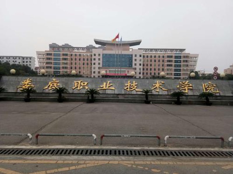 添卓商贸行业动态：引领市场新风尚